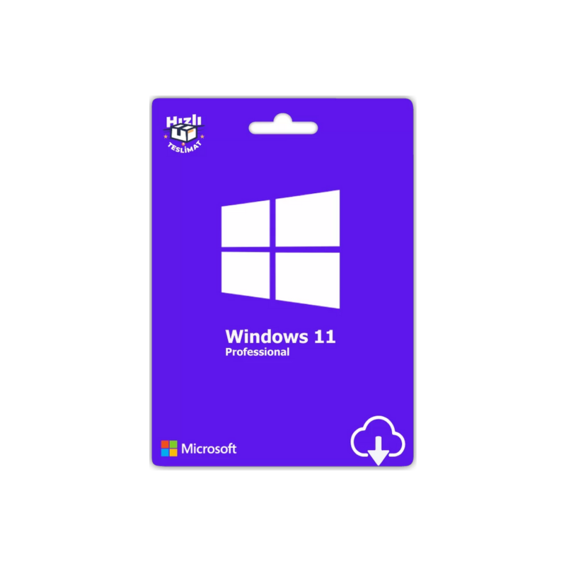 Windows 11 Pro Windows 11 Pro