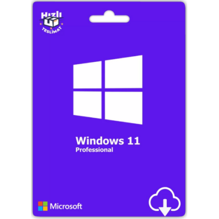 Windows 11 Pro